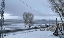 Patnos'ta mevsimin ilk karı yağdı