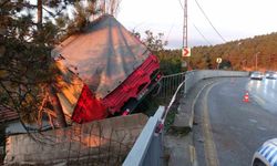 Pendik'te kamyonet kontrolden çıktı: Faciayı ağaçlar önledi
