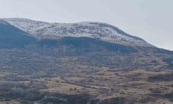 Posof kar yağışı sonrası beyaza büründü