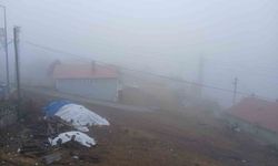 Posof'ta yoğun sis etkiliyor oluyor