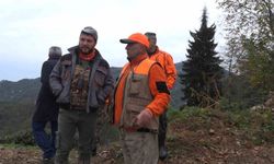 Rize'de ayı için sürek avı başlatıldı