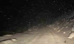 Rize'nin yüksek kesimlerinde yoğun kar yağışı etkili oldu