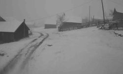 Sakarya'nın yüksek kesimleri beyaza büründü