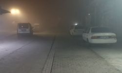 Şanlıurfa'da gece boyu yoğun sis etkili oldu