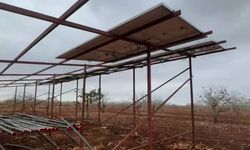 Şanlıurfa'da hırsızlar sisli havada güneş enerjisi panellerine dadandı