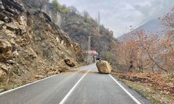 Sason'da köy yollarını kapatan dev kaya parçaları kaldırıldı