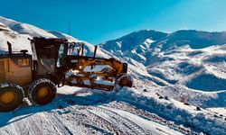 Siirt'te 10 köyün ulaşımını sağlayan yol kardan kapandı