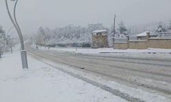 Siirt'te okullar yarım gün tatil edildi