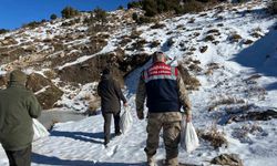 Siirt'te yaban hayvanlarına 750 kilo yem bırakıldı