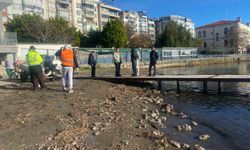 Sinop'ta deniz yüzeyindeki kirlilik vatandaşları endişelendirdi