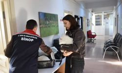 Sinop'ta hayvan kimliklendirme istatistikleri