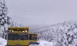 Sinop'ta kar yağışı