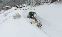 Sinop'ta karla mücadele