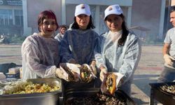 Sinop'ta şenlikte 1 ton hamsi tüketildi