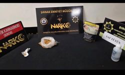 Şırnak'ta narkotik ve kaçakçılık operasyonu: 1 tutuklama