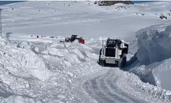 Şırnak'ta tipi, köy yollarını ulaşıma kapattı