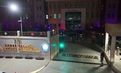 Şırnak'ta zehir tacirlerine nefes kesen şafak operasyonu