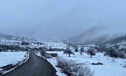 Sivas'ın Karadeniz'e açılan kapısına kar yağdı, kartpostallık görüntüler oluştu