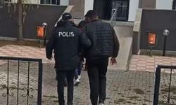 Sivas'ta çaldıkları Kangal köpekleriyle Kayseri'de yakalandılar