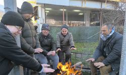 Soğuk havalar en fazla pazarcı esnafını etkiledi