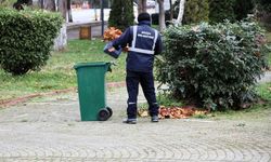Söğüt'te temizlik çalışmaları hız kazandı