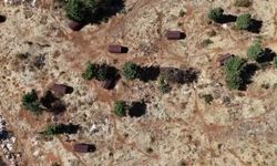 Sokak hayvanları sıcak yuvaya kavuştu