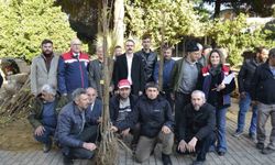 Sultanhisar'da üreticiye kestane ve incir fidesi dağıtıldı