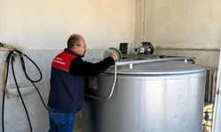 Süt toplama tankları mercek altında