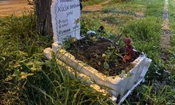 Taksicilerden vefa...Ölen muhabbet kuşları için mini mezar yaptılar