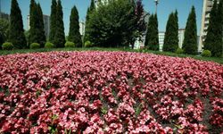 Talas 2026'da rengarenk olacak