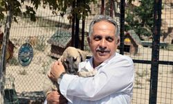 Talas Patievi Doğal Yaşam Alanı 500 can için seçkin bir yuva