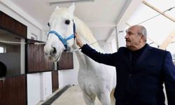 Taşköprü'ye atlı turizm merkezi kuruluyor