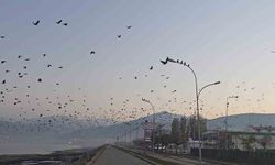 Tatvan sahilinde gökyüzünde sıra dışı manzara