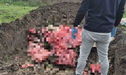 Tekirdağ'da 1 ton menşei belirsiz hayvansal ürün imha edildi
