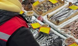 Tekirdağ'da perakende balık satış noktalarına sıkı denetim