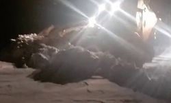 Tekman'da karla mücadele ekipleri kapalı mahalle yollarını açmak için seferber oldu