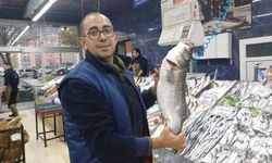 Tezgahlarda palamut yok, hamsi çok