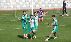 TFF 3. Lig: Amasyaspor: 3 - Artvin Hopaspor: 2