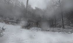 Tokat'ta kesimlerinde kar yağışı etkili oldu