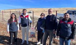 Tunceli'nin 4 ilçesinde sarımsak ekimi yapıldı