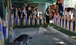 Türkiye'de ilk olan 'Küçük Dostlar Ambulansı' ile 10 bin 280 can kurtarıldı