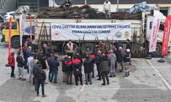 Türkiye'nin ceviz başkenti Denizli'de ceviz fidanı dağıtımı başladı