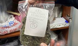 Türkiye'nin en zengin tıbbi aromatik merkezi Eskişehir'de