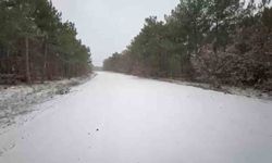 Türkmendağı etekleri beyaza büründü
