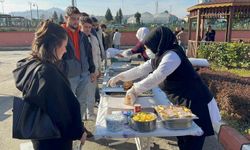 Üniversite öğrencileri hamsi festivaliyle moral depoladı