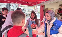 Üniversiteli gençler gönüllülüğe dikkat çekti