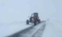 Van'da 28 yerleşim yerinin yolu ulaşıma kapandı