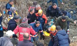 Van'da araç bataklığa uçtu: 5 yaralı