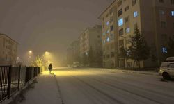 Van'da yoğun kar yağışı