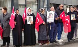 Vanlı annelerin evlat nöbeti 114'üncü haftasında